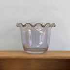 Skål Filum Glas