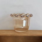 Skål Filum Glas
