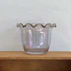 Skål Filum Glas