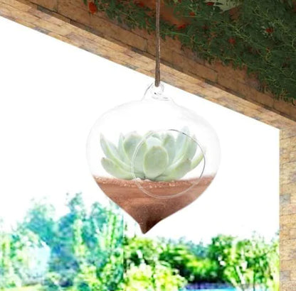 Glass Hydroponic Container, Hanging Flower Pot Decor (VITREA)