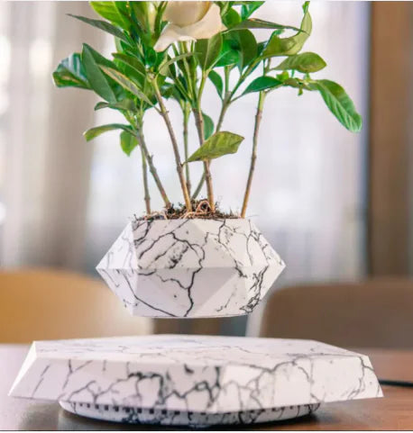 Magnetic Floating Flower Pot (LEVITA)