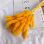 60Pcs Mix Rabbit Tail Grass Natural Lagurus Ovatus Pampas Dried Flower Bouquet Floral Wedding Decoration Home Photo Props Decor