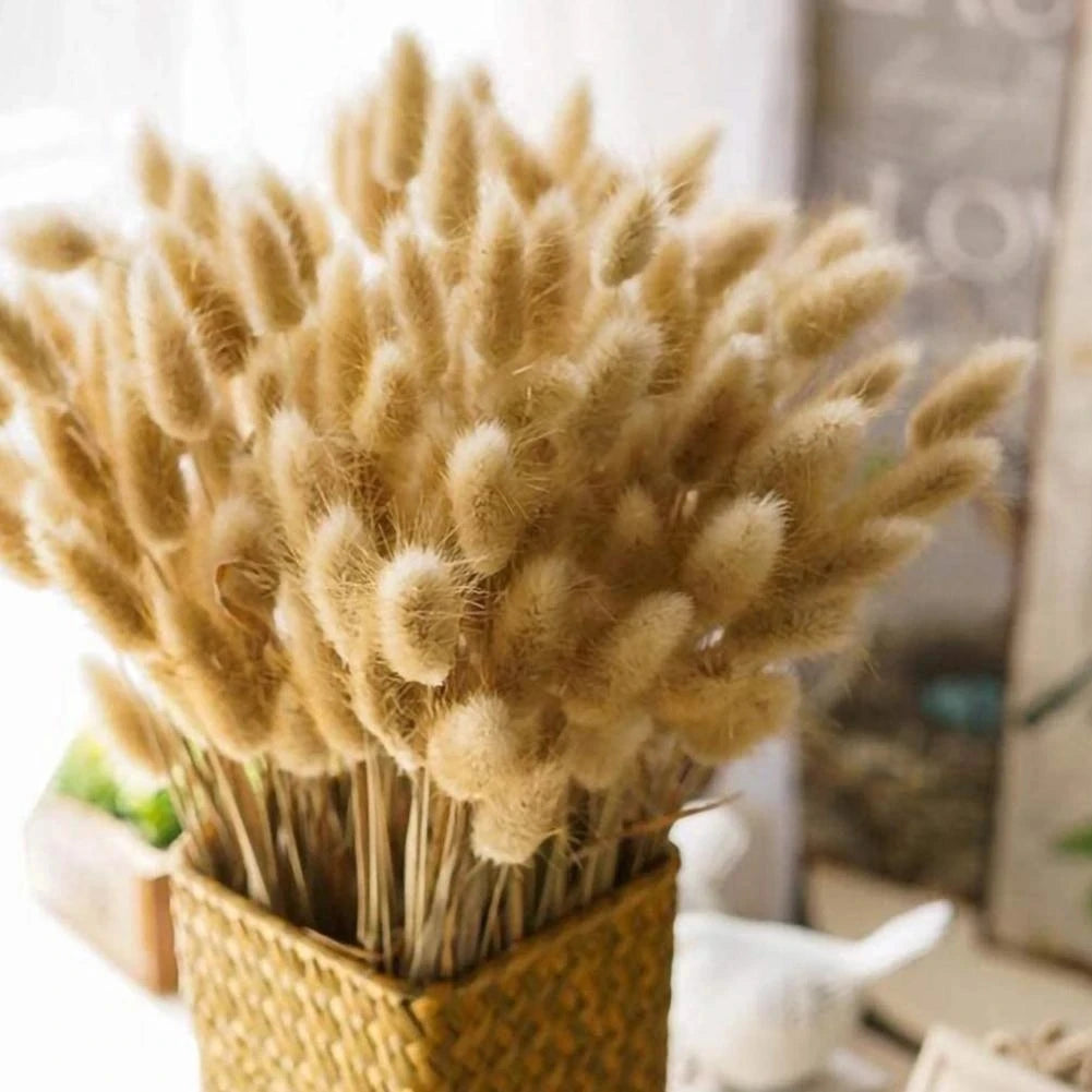 60Pcs Mix Rabbit Tail Grass Natural Lagurus Ovatus Pampas Dried Flower Bouquet Floral Wedding Decoration Home Photo Props Decor