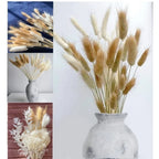 60Pcs Mix Rabbit Tail Grass Natural Lagurus Ovatus Pampas Dried Flower Bouquet Floral Wedding Decoration Home Photo Props Decor