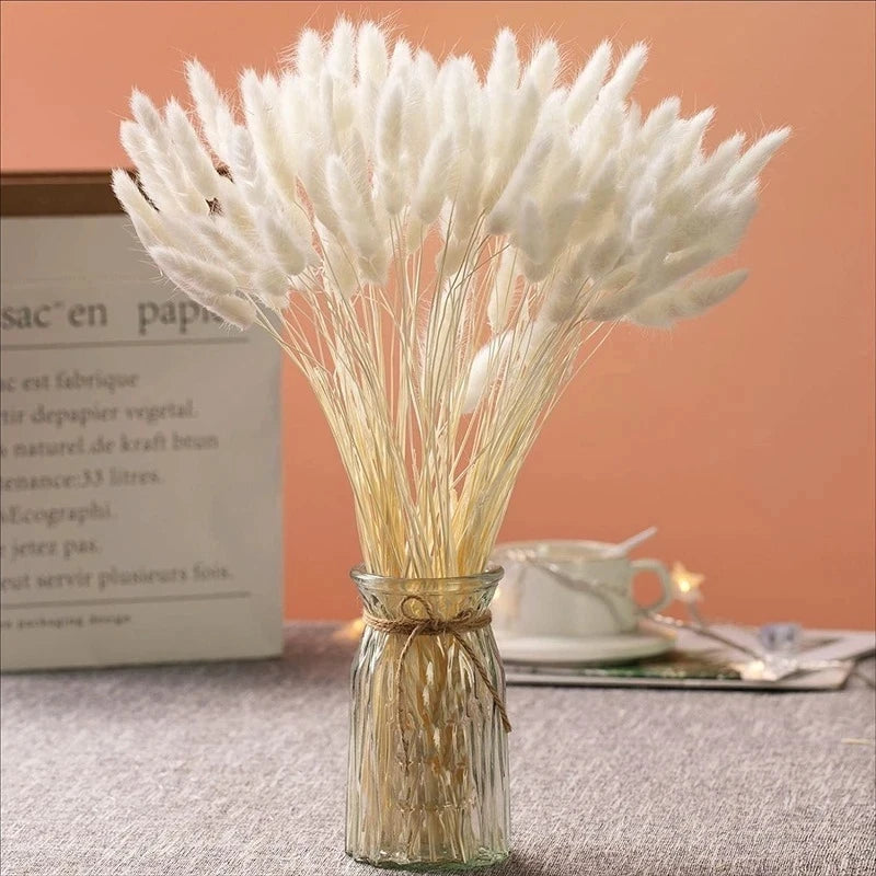 60Pcs Mix Rabbit Tail Grass Natural Lagurus Ovatus Pampas Dried Flower Bouquet Floral Wedding Decoration Home Photo Props Decor
