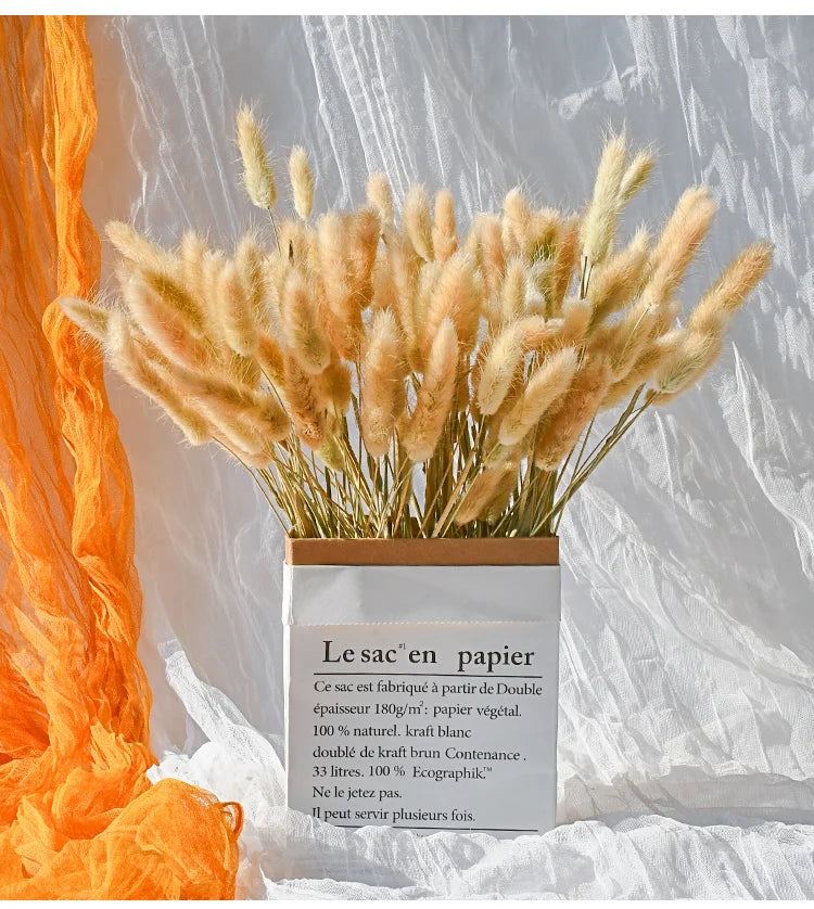 60Pcs Mix Rabbit Tail Grass Natural Lagurus Ovatus Pampas Dried Flower Bouquet Floral Wedding Decoration Home Photo Props Decor