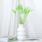 60Pcs Mix Rabbit Tail Grass Natural Lagurus Ovatus Pampas Dried Flower Bouquet Floral Wedding Decoration Home Photo Props Decor