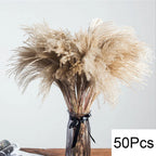 Natural Pampas Dried Flowers Bouquet for Boho Home Vase Decor Bunny Rabbit Tails Grass Artifical Flower Wedding Party Decoration