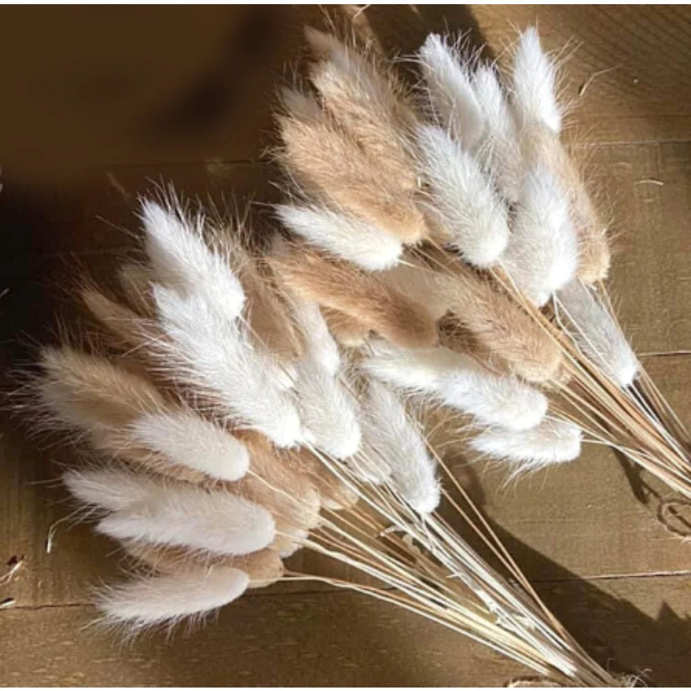 60Pcs Mix Rabbit Tail Grass Natural Lagurus Ovatus Pampas Dried Flower Bouquet Floral Wedding Decoration Home Photo Props Decor