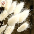 60Pcs Mix Rabbit Tail Grass Natural Lagurus Ovatus Pampas Dried Flower Bouquet Floral Wedding Decoration Home Photo Props Decor
