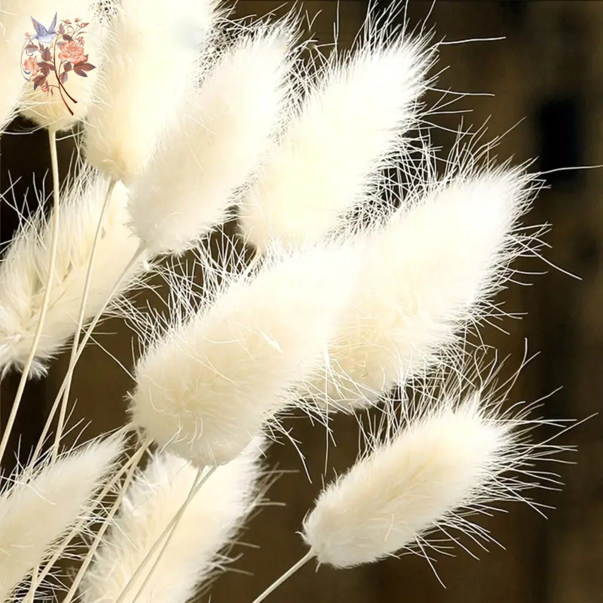 60Pcs Mix Rabbit Tail Grass Natural Lagurus Ovatus Pampas Dried Flower Bouquet Floral Wedding Decoration Home Photo Props Decor