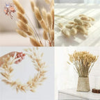 60Pcs Mix Rabbit Tail Grass Natural Lagurus Ovatus Pampas Dried Flower Bouquet Floral Wedding Decoration Home Photo Props Decor