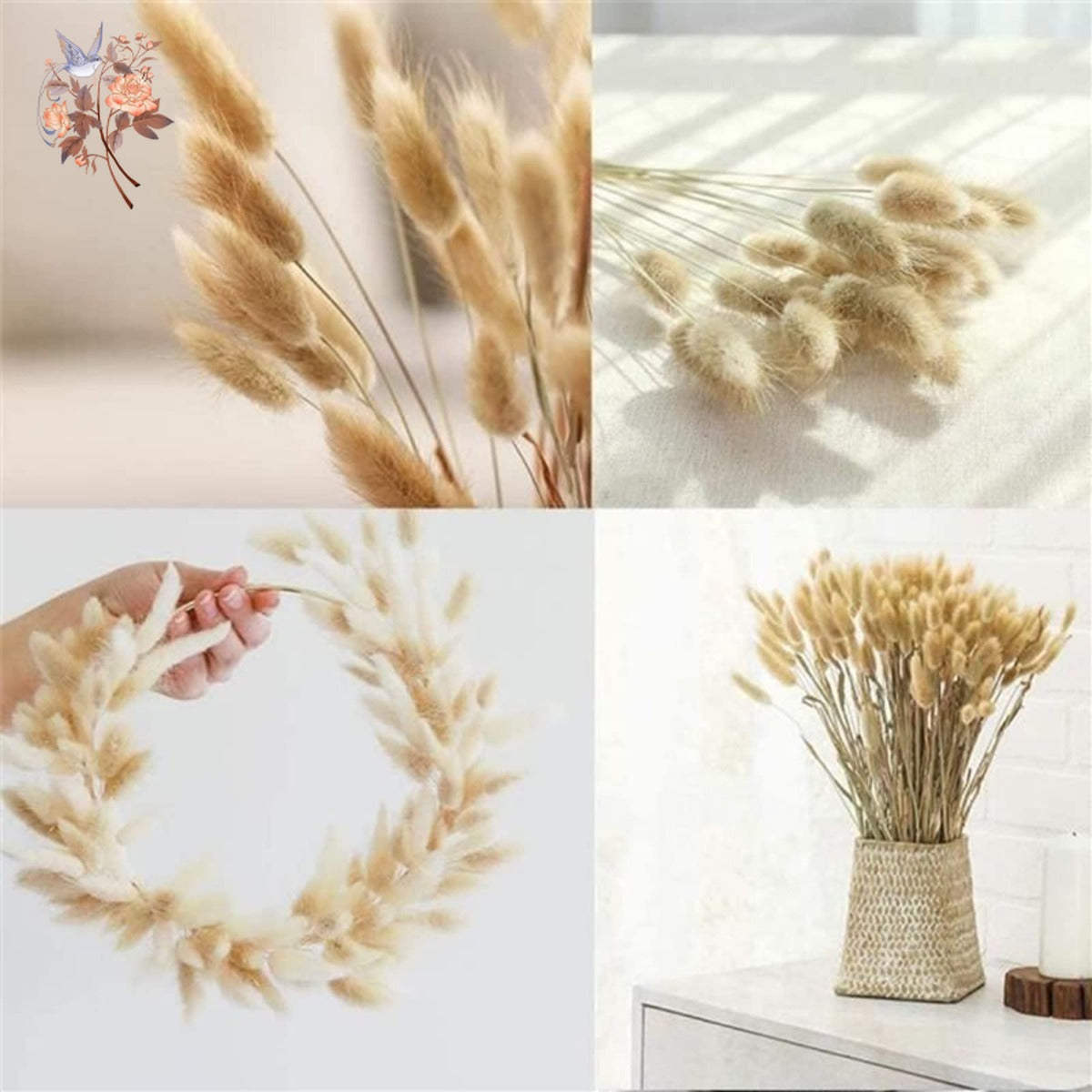 60Pcs Mix Rabbit Tail Grass Natural Lagurus Ovatus Pampas Dried Flower Bouquet Floral Wedding Decoration Home Photo Props Decor