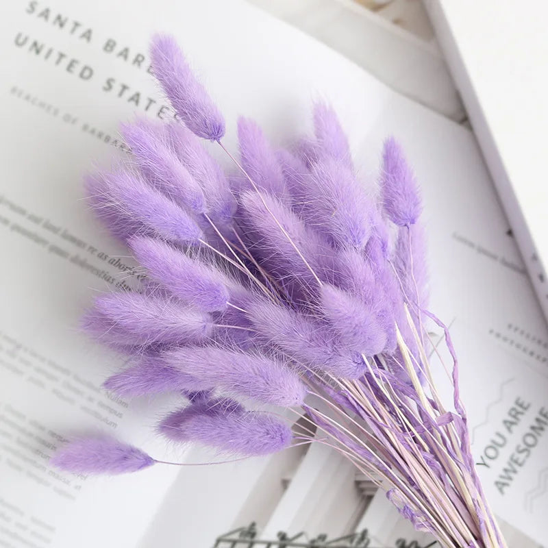 60Pcs Mix Rabbit Tail Grass Natural Lagurus Ovatus Pampas Dried Flower Bouquet Floral Wedding Decoration Home Photo Props Decor