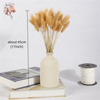 60Pcs Mix Rabbit Tail Grass Natural Lagurus Ovatus Pampas Dried Flower Bouquet Floral Wedding Decoration Home Photo Props Decor