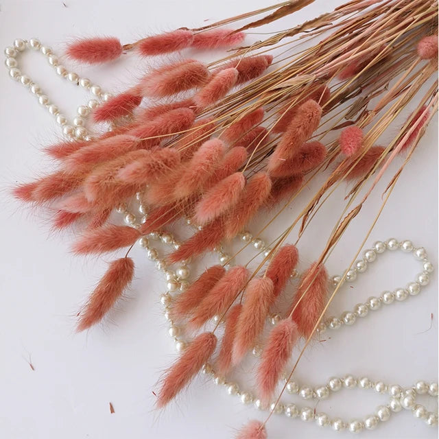 60Pcs Mix Rabbit Tail Grass Natural Lagurus Ovatus Pampas Dried Flower Bouquet Floral Wedding Decoration Home Photo Props Decor