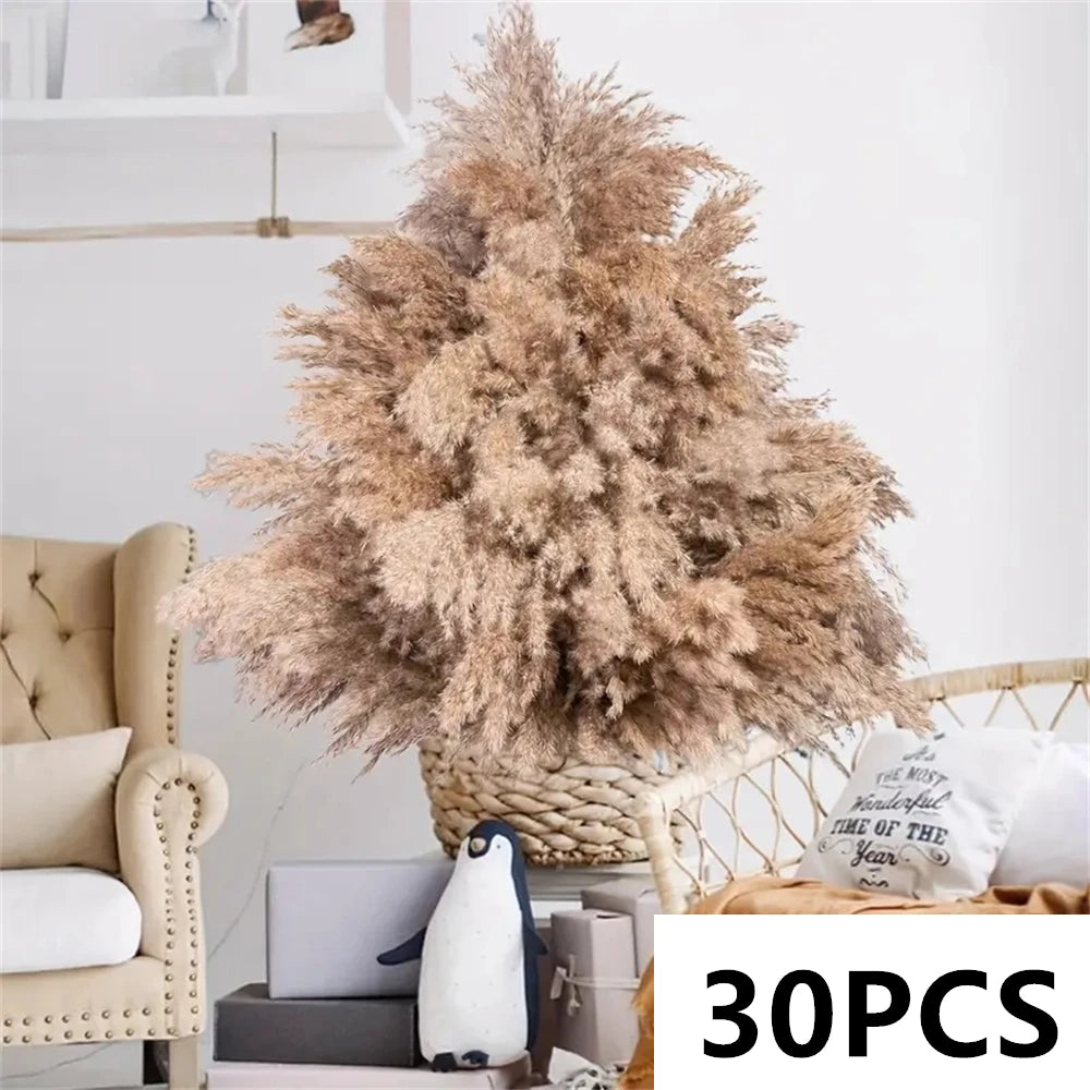 Natural Fluffy Pampas Grass Flowers Bouquets for Wedding Floral Arrangements Dried Plants Home Table Christmas Party Decorations