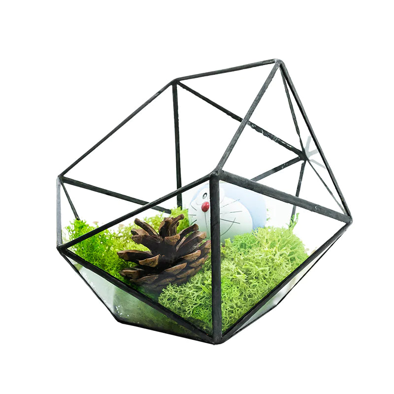 Modern geometric glass flower room creative micro landscape plant bottle