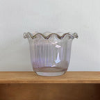 Skål Filum Glas