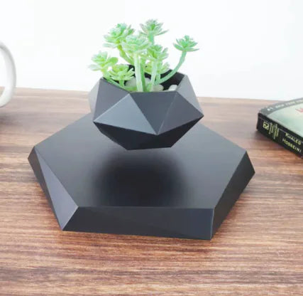 Magnetic Floating Flower Pot (LEVITA)