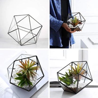 Modern geometric glass flower room creative micro landscape plant bottle