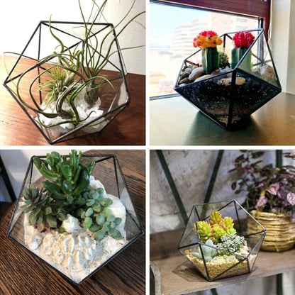 Modern geometric glass flower room creative micro landscape plant bottle