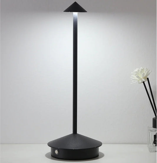 Modern Minimalist LED Table Decor Lamp