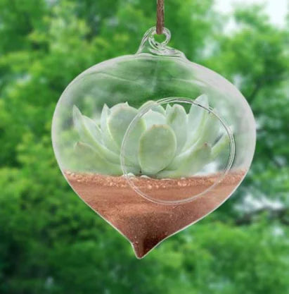 Glass Hydroponic Container, Hanging Flower Pot Decor (VITREA)