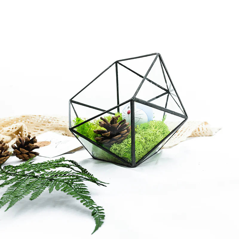 Modern geometric glass flower room creative micro landscape plant bottle